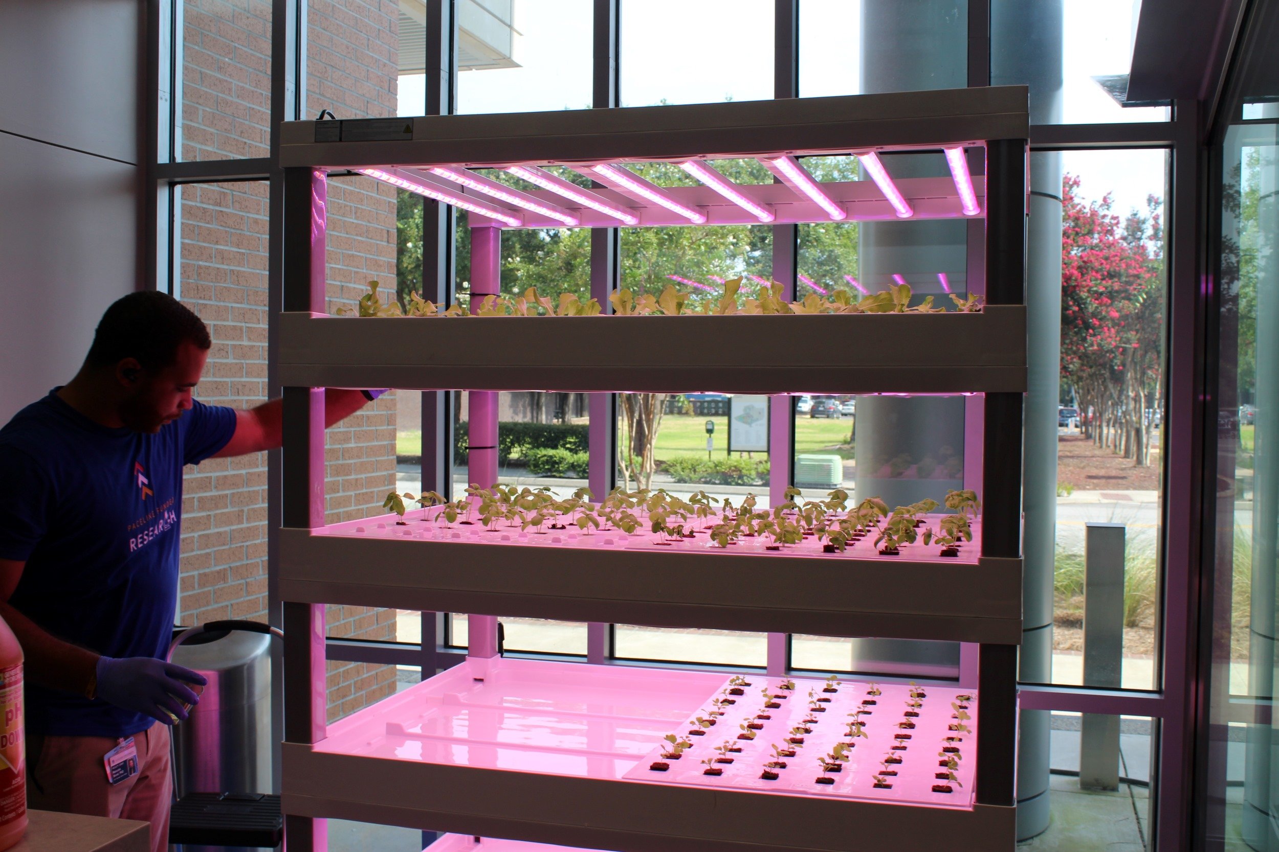 Hydroponic garden to offer healthier food options Augusta Good News