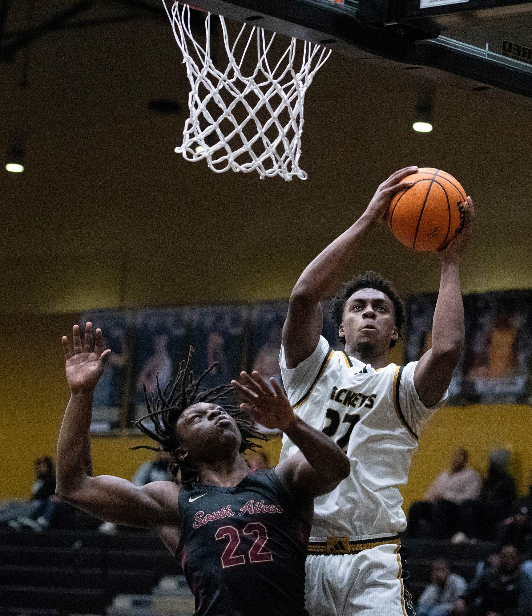 Augusta Hoops main image 1